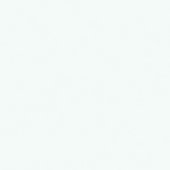 Prime Rainier   12x12 Matte