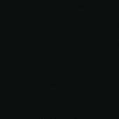 Prime Black   12x12 Matte