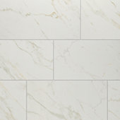 Panoramic Duet Mine   12x24 Matte