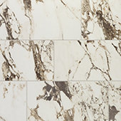 Panoramic Duet Calacatta Aries   12x24 Matte