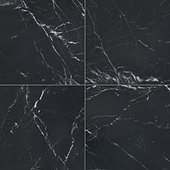 Panoramic Duet Anthracite   48x48 Matte