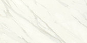 Florentine Carrara   12x24 Matte