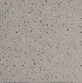 Harmonist Celestia   12x12 Matte