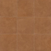 Indoterra    24x24 Polished