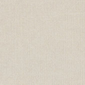 Prime White   18x18 Matte