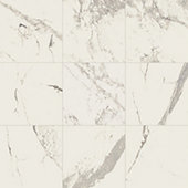 Marble Attache Calacatta   24x24 Satin