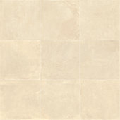 Portfolio Cream   24x24 Matte