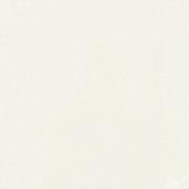 Pure Frost White   12x12 Matte