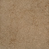 Parkway Brown   18x18 Matte