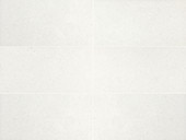 Outlander Marine Palazzo Stepwise 24x48 Matte