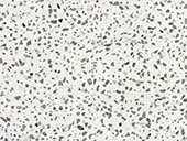 Outlander Marine Medio Stepwise 24x48 Matte