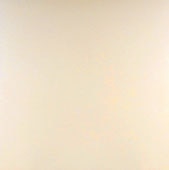 Unity Beige   12x12 Polished