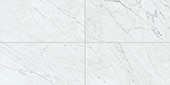 Marble Attache Lavish Carrara   12x24 Satin