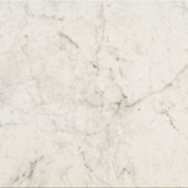 Mythique Marble Altissimo 12X12