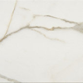 Mythique Marble Calacatta Venecia 12X12