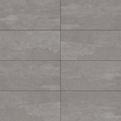 Theoretical Evolved Creative Gray 24X48