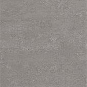 Theoretical Evolved Creative Gray 24X24