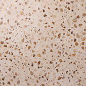 Curation Stucco 12X24