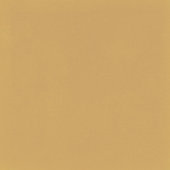 D_Segni Color Mustard 8X8