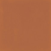 D_Segni Color Tangerine 8X8