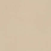 Neoconcrete Beige 24X24