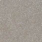 Neospeck Medium Gray 24X24