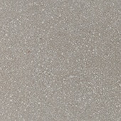 Neospeck Light Gray 24X24