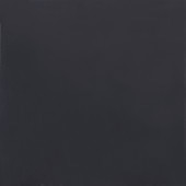 Clay Canvas Coal 24X24