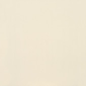 Clay Canvas Paint 24X24