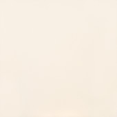 Clay Canvas Chalk 24X24