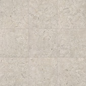 Forgehaus Terra 24X24