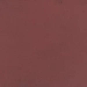 0021RCT1224MTJ1 Color Story Floor Matte Passion 12x24 Matte