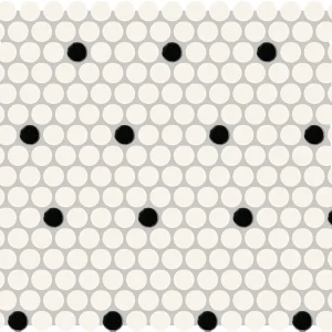 Color Wheel Mosaic Arctic White/Black Penny Rounds