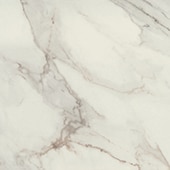 FM1024241LF Famed Diamond 24X24 Polished